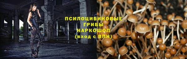 гашиш Баксан