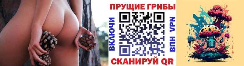 Галлюциногенные грибы GOLDEN TEACHER  Новоаннинский 