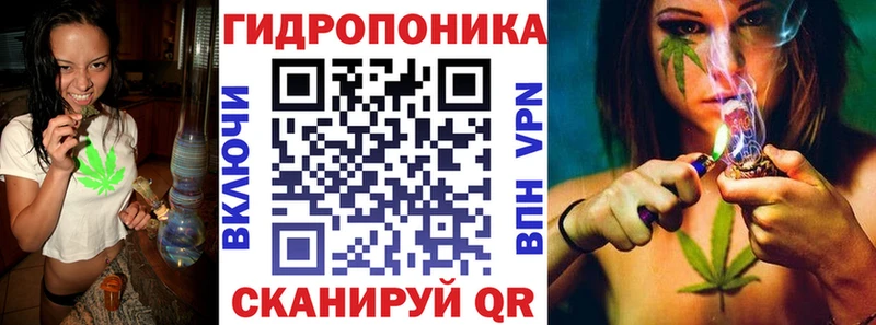 kraken онион  Новоаннинский  Шишки марихуана планчик 